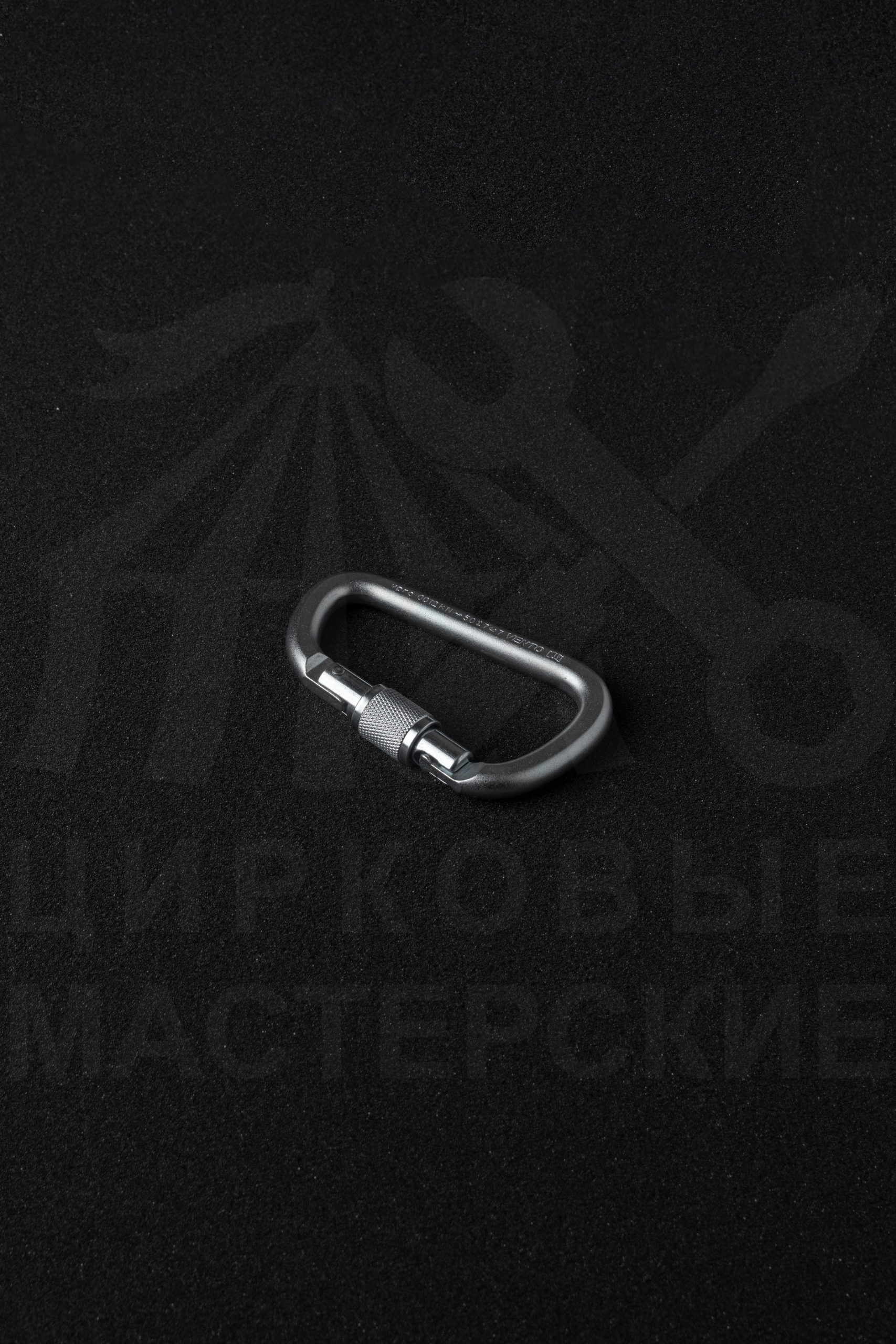 Screw-Gate Carabiner SWL 700 kg